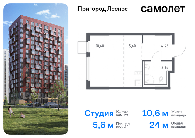 д Мисайлово Домодедовская, микрорайон Пригород Лесное, к 19, Каширское шоссе фото