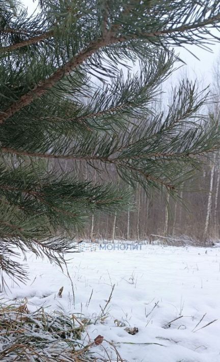 земля р-н Богородский д Сысоевка фото 3