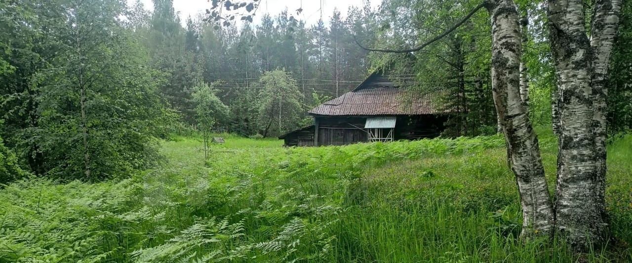 дом р-н Окуловский г Окуловка ул Андреева 9 фото 10