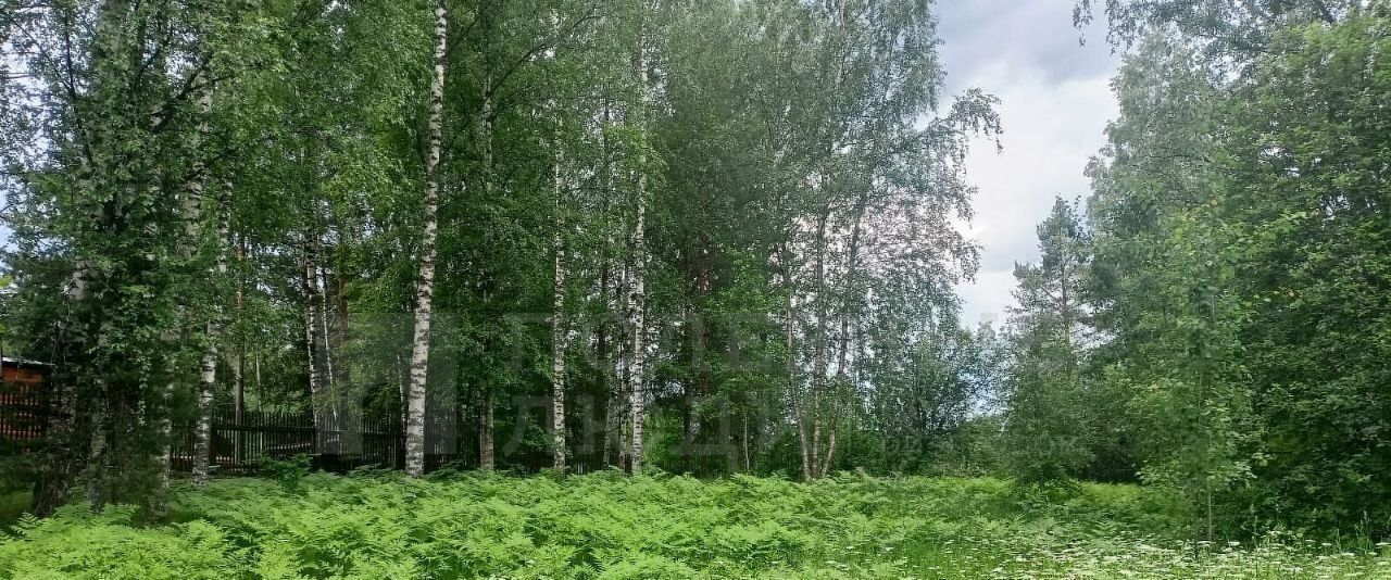 дом р-н Окуловский г Окуловка ул Андреева 9 фото 11