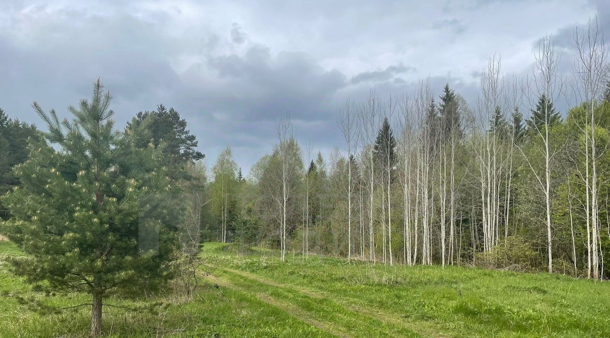 земля р-н Боровичский м Селино Сушанское с/пос, мест., 11 фото 8