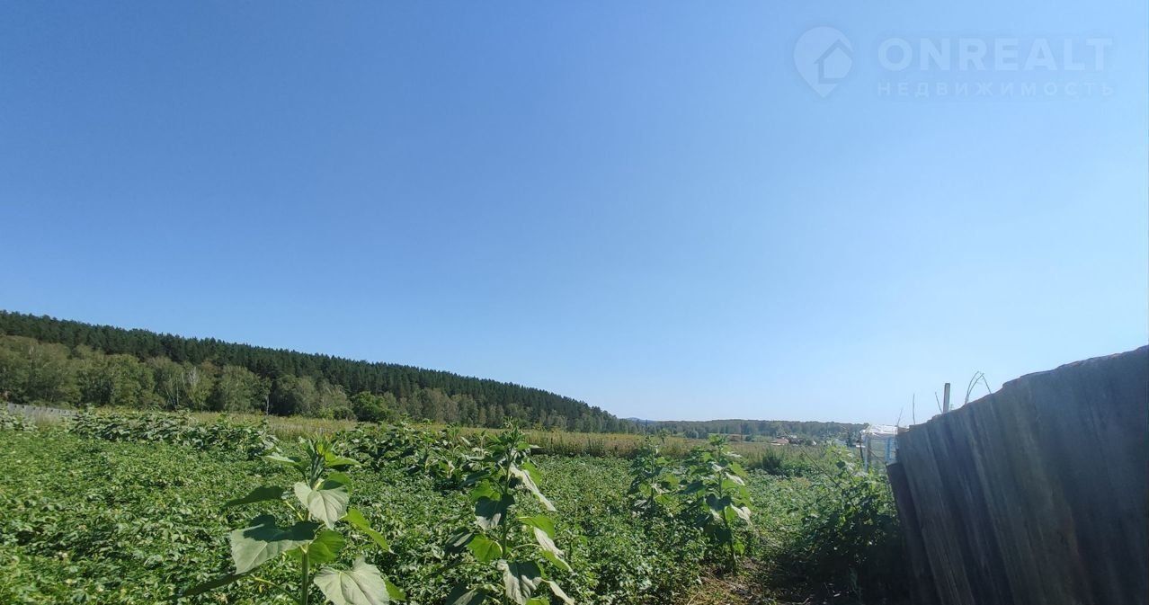 дом р-н Мошковский с Томилово ул Центральная фото 7