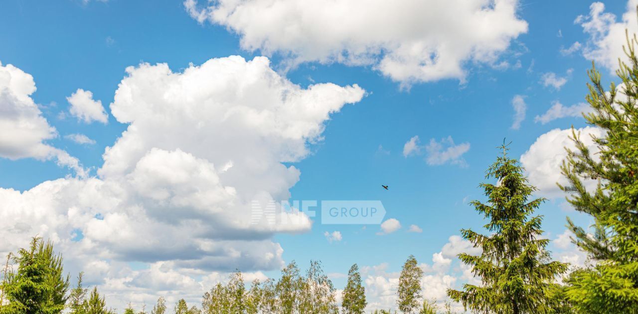 земля городской округ Истра д Захарово Агаларов Эстэйт кп, Нахабино фото 2