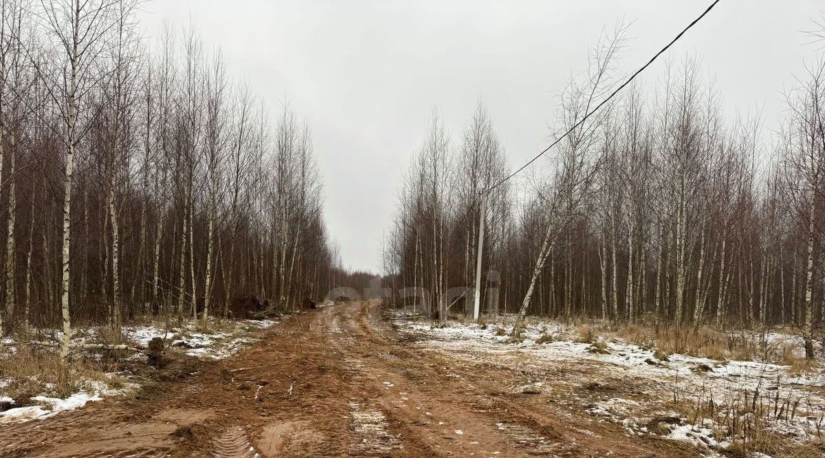 земля р-н Красносельский д Кузьмино Шолоховское с/пос, проезд Проезд фото 19