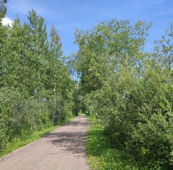 земля р-н Новгородский Трубичинское с/пос, Дачный массив № 5 тер., 1 фото 6