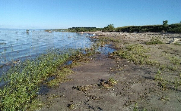 земля р-н Шимский д Мстонь Шимское городское поселение фото 1