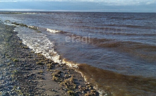 земля р-н Шимский д Мстонь Шимское городское поселение фото 2