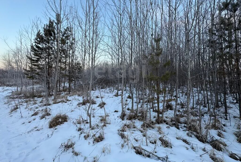 земля р-н Нижнетавдинский снт Здоровье-3 фото 2