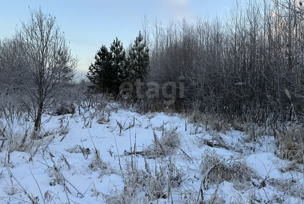 земля р-н Нижнетавдинский снт Здоровье-3 фото 2