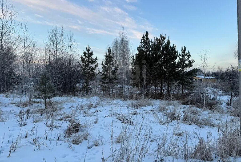 земля р-н Нижнетавдинский снт Здоровье-3 фото 6