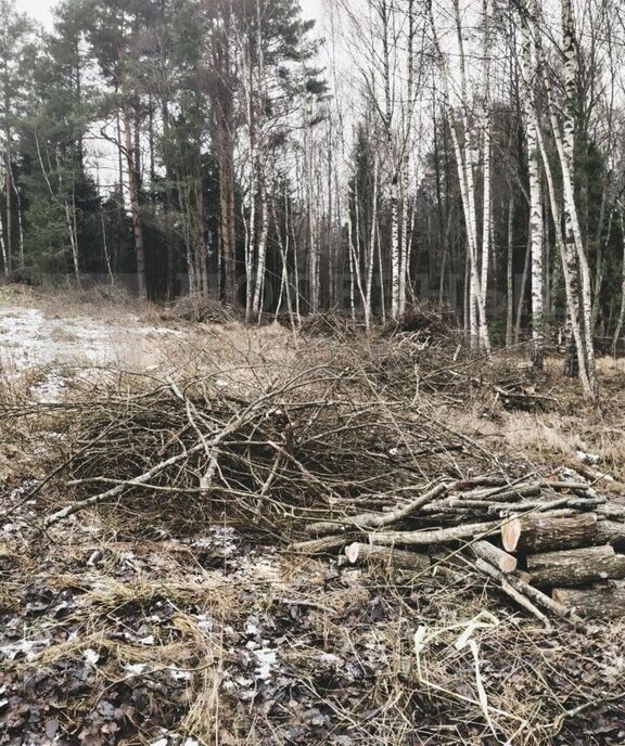 земля р-н Новгородский д Рышево Савинское сельское поселение фото 7