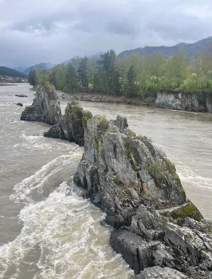 комната р-н Чемальский с Аюла ул Прибрежная 2 фото 16