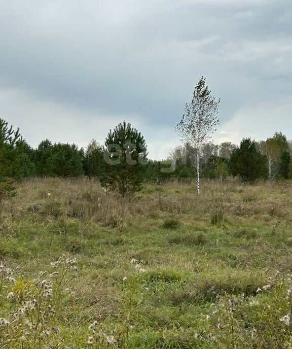 земля р-н Первомайский с Фирсово ул Ильи Репина ЖК Палитра фото 3