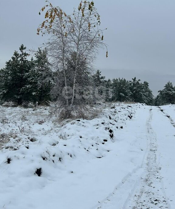 земля р-н Первомайский с Фирсово ул Ильи Репина ЖК Палитра фото 7