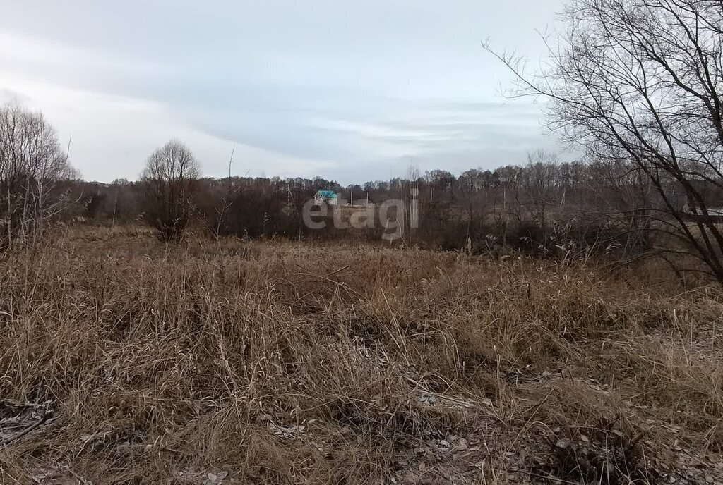 земля г Ульяновск п Новосельдинский р-н Ленинский фото 12