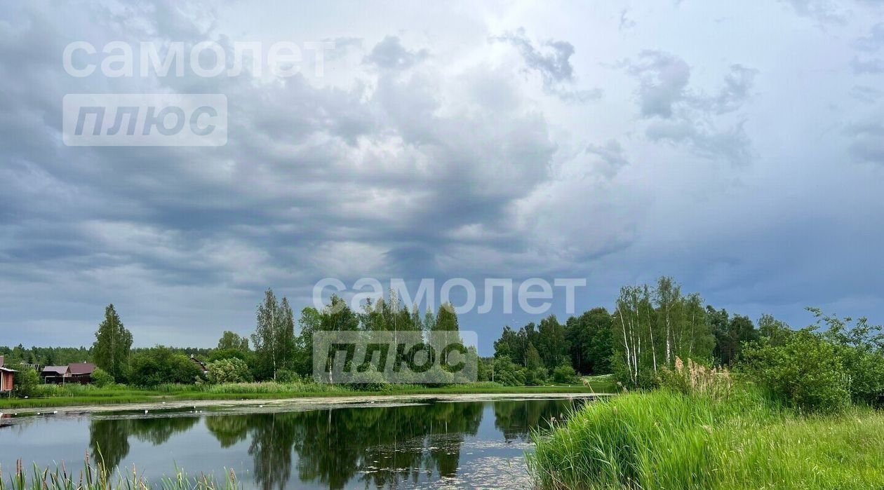 земля р-н Тосненский Рябовское городское поселение, Рябово городской поселок, ул. Восточная, 12 фото 20