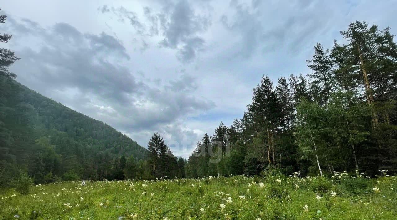 земля р-н Чемальский с Чемал фото 1