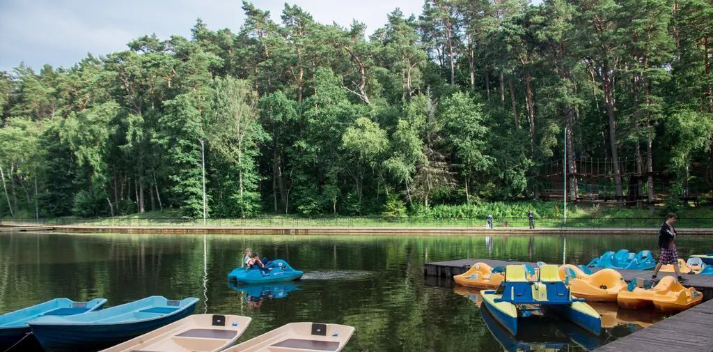 квартира р-н Светлогорский г Светлогорск проезд Майский 4 фото 14