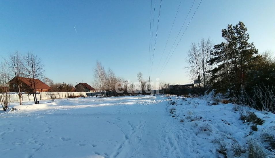 земля р-н Новосибирский п Приобский сельсовет, Кудряшовский фото 1