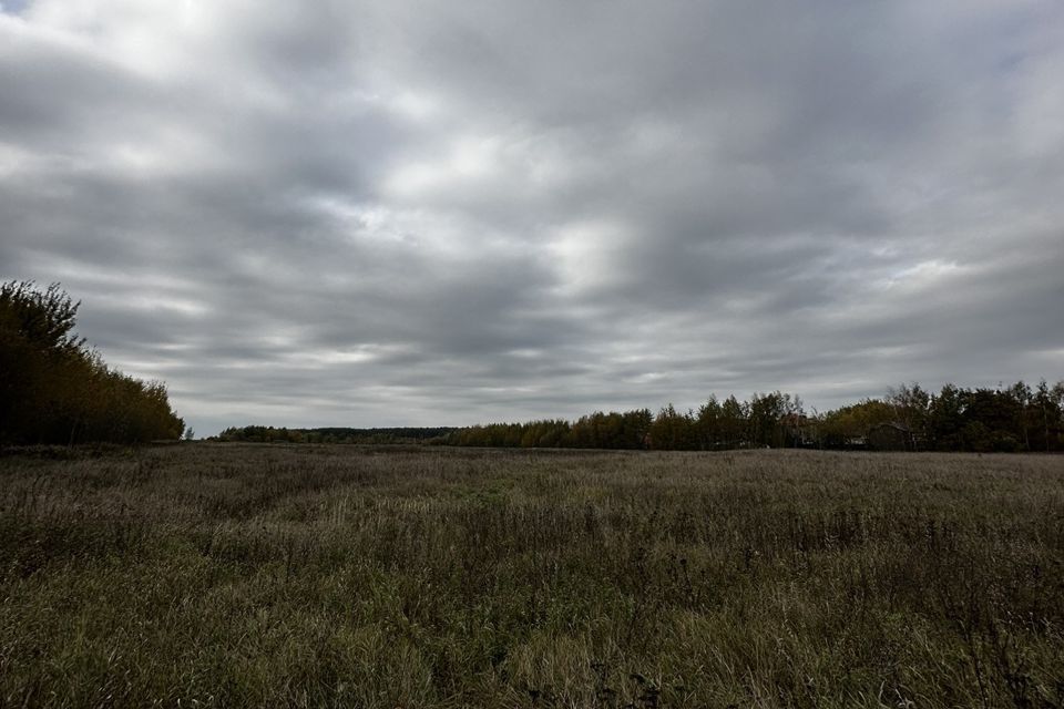 земля городской округ Раменский фото 7