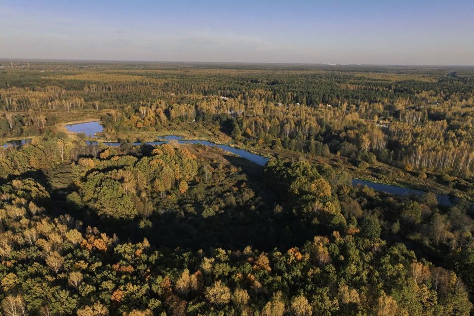 дом городской округ Богородский д Горки 52а фото 10