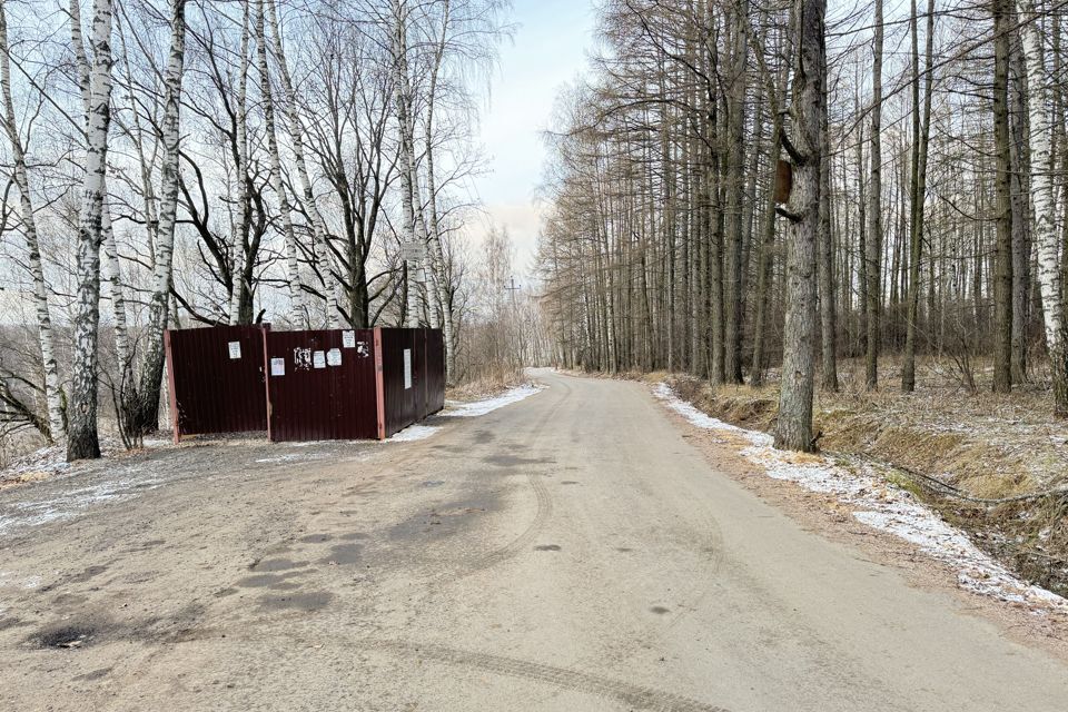 земля городской округ Раменский СНТ Стриж фото 10