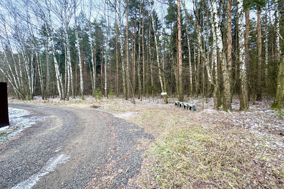 земля городской округ Раменский СНТ Стриж фото 7