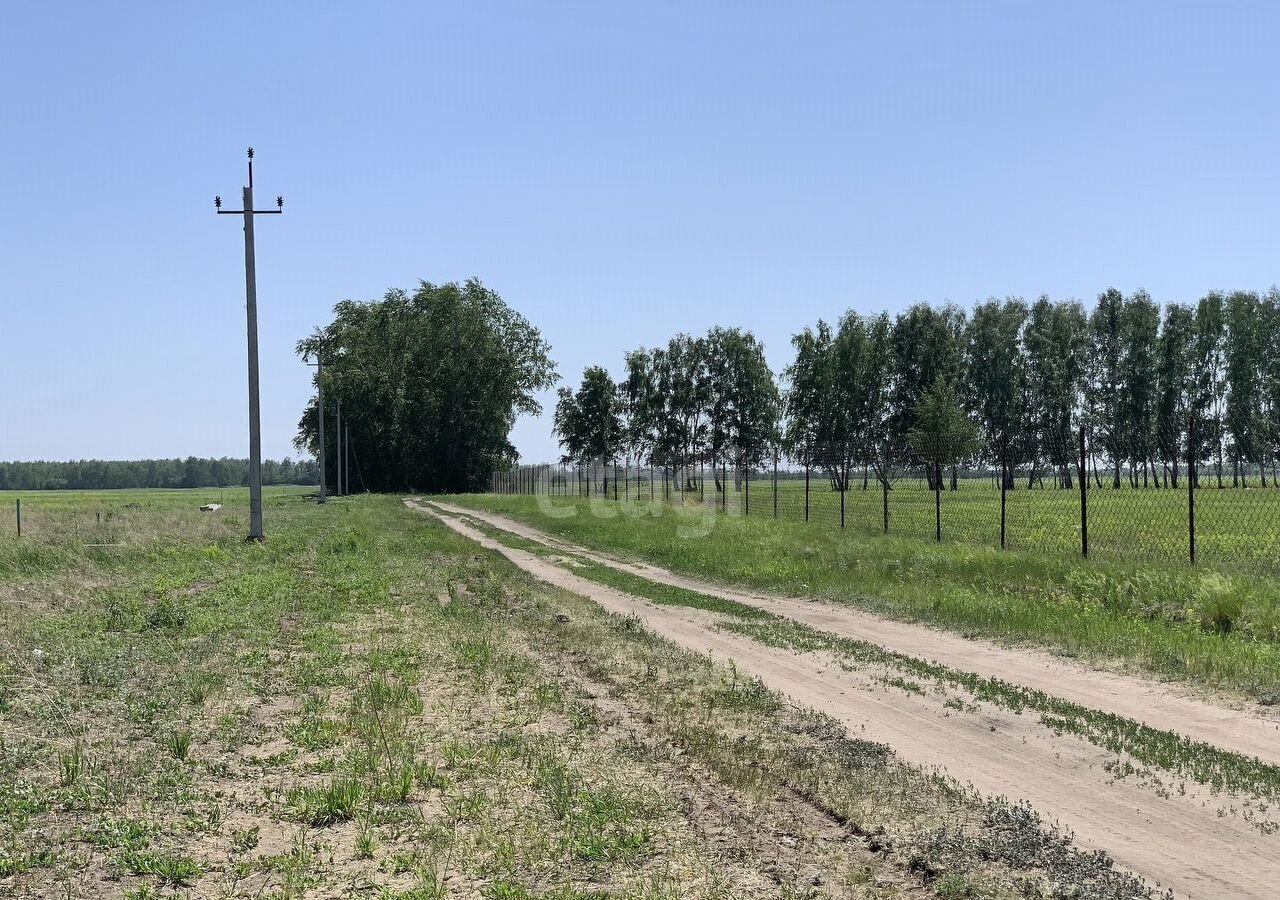 земля р-н Омский с Усть-Заостровка Усть-Заостровское сельское поселение, Омск фото 1