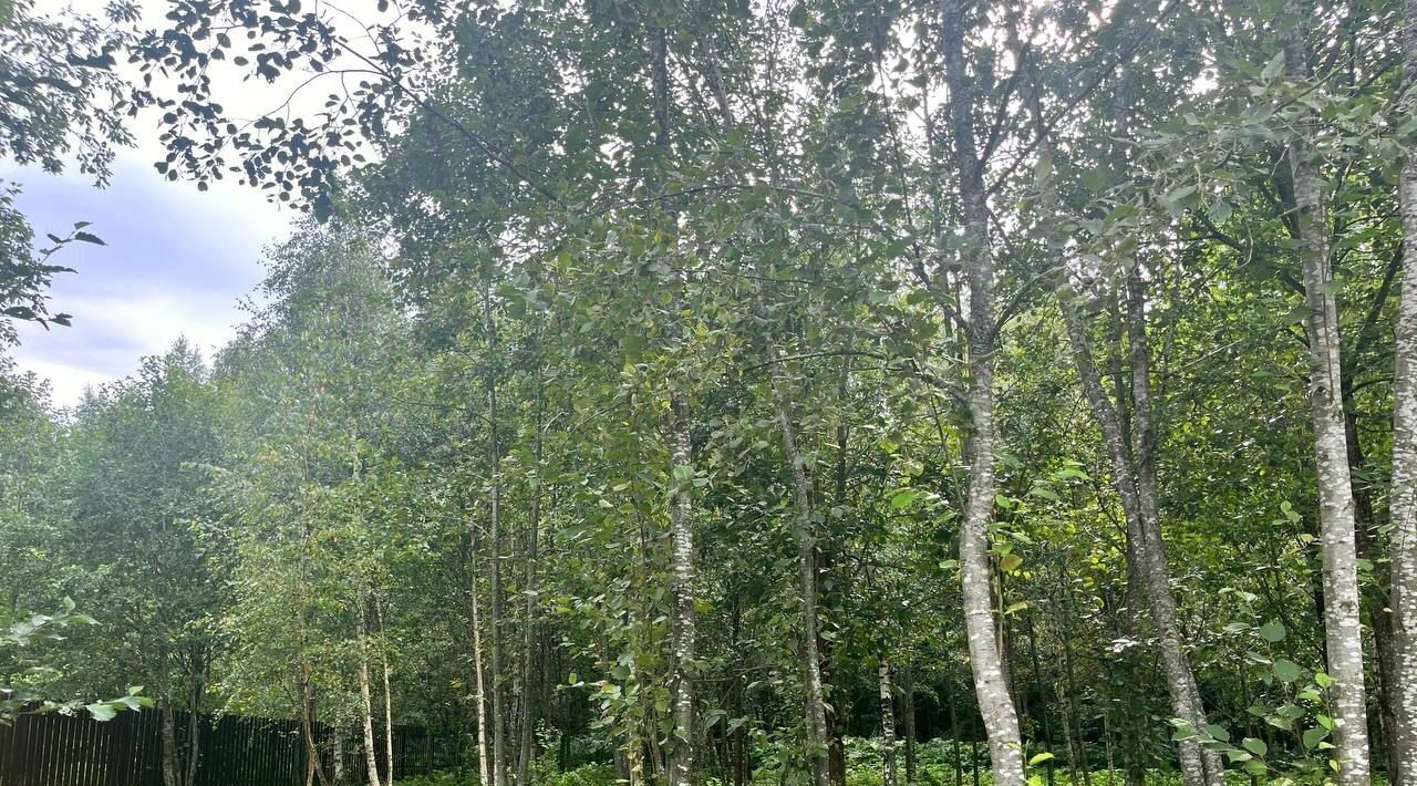 земля городской округ Рузский Эмеральд Вилладж кп, ул. Львиное Сердце фото 5