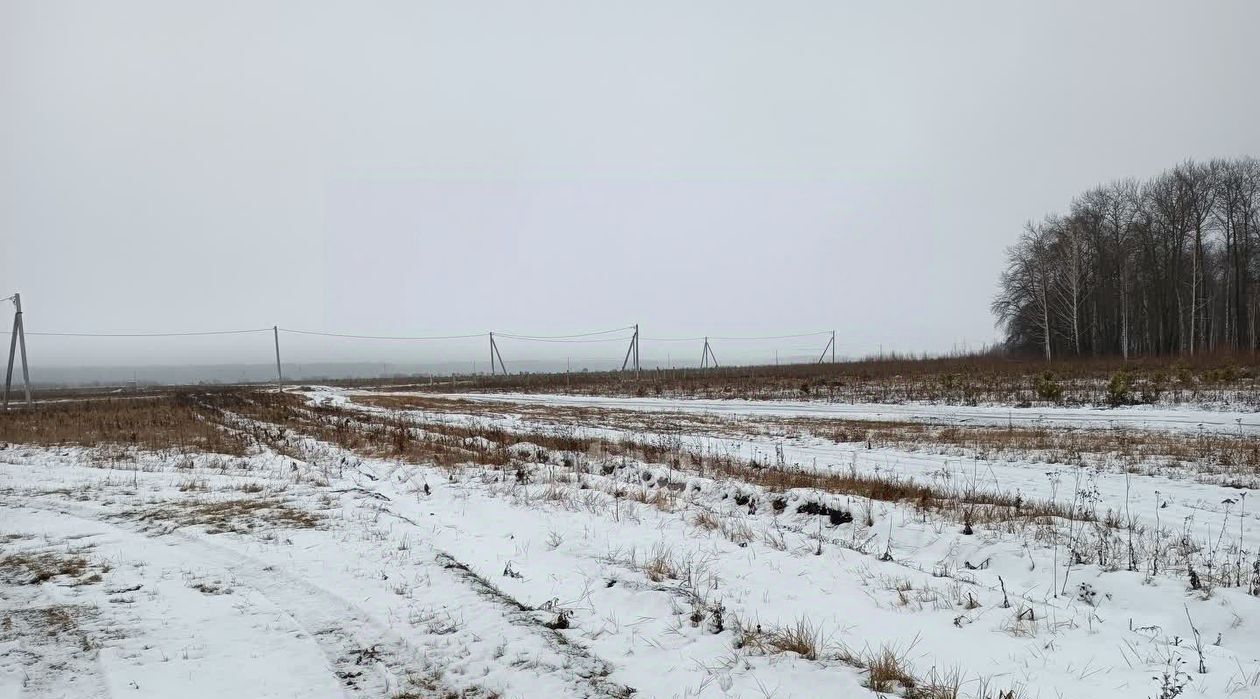 земля г Тюмень р-н Центральный снт Надежда-2 ул Зеленая фото 1