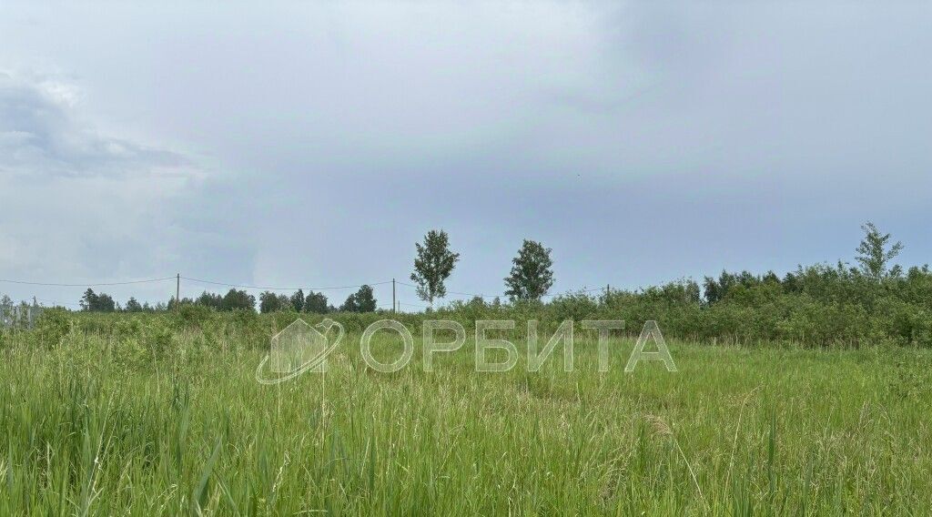 земля г Тюмень р-н Центральный снт Липовый остров Тюмень, ул. 16-я Восточная фото 4