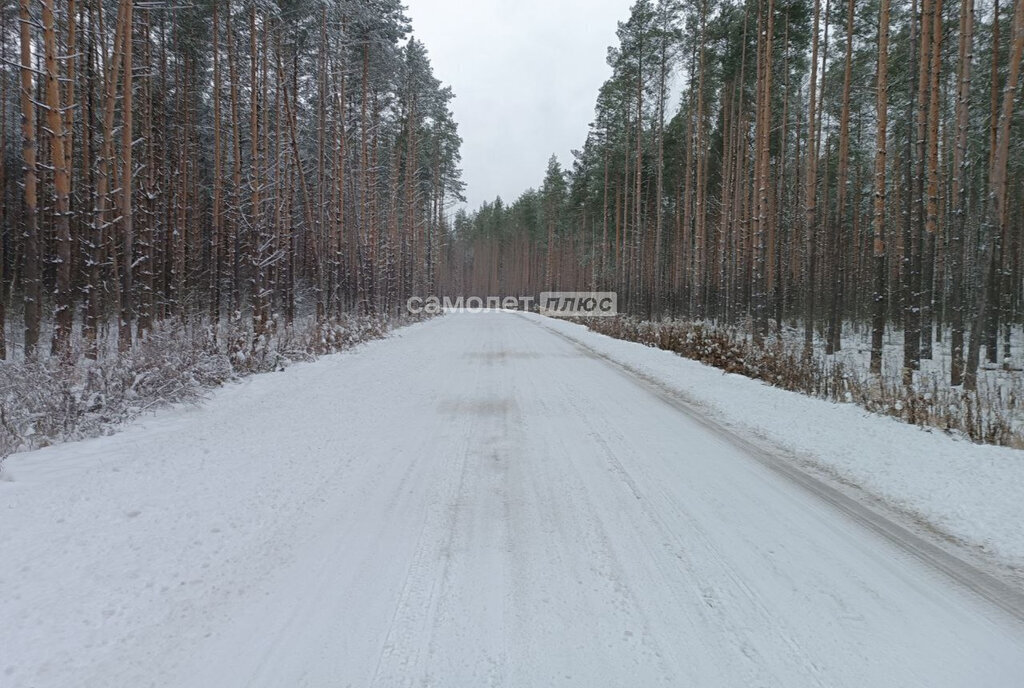 земля городской округ Павловский Посад д Дальняя снт Маяк-4 фото 4