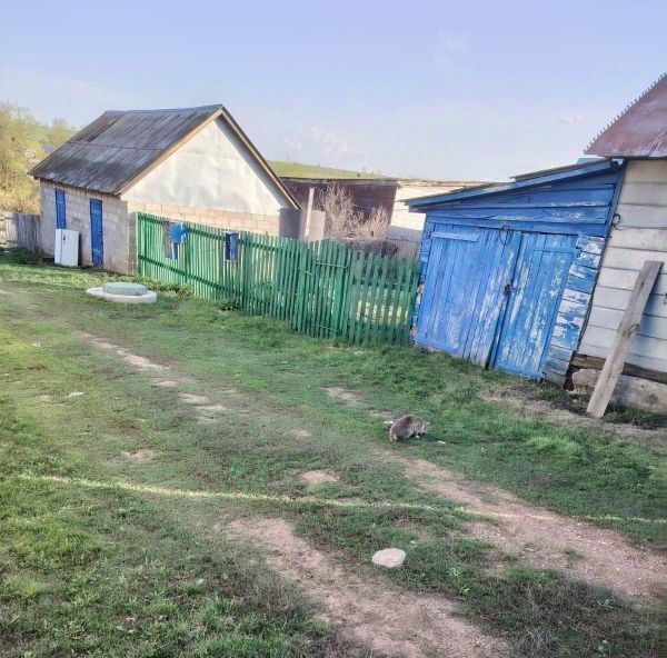 дом р-н Стерлибашевский с Айдарали ул Ленина Айдаралинский сельсовет фото 6