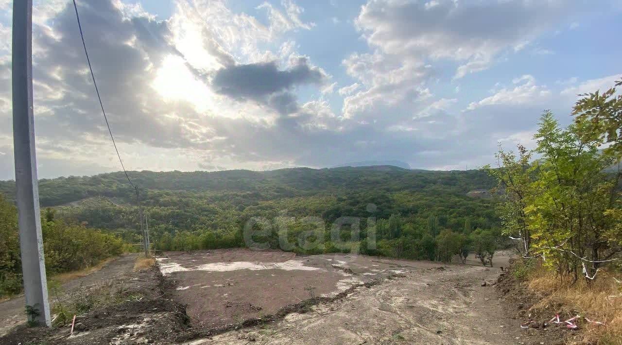 земля г Алушта с Лучистое ул Грушевая фото 5