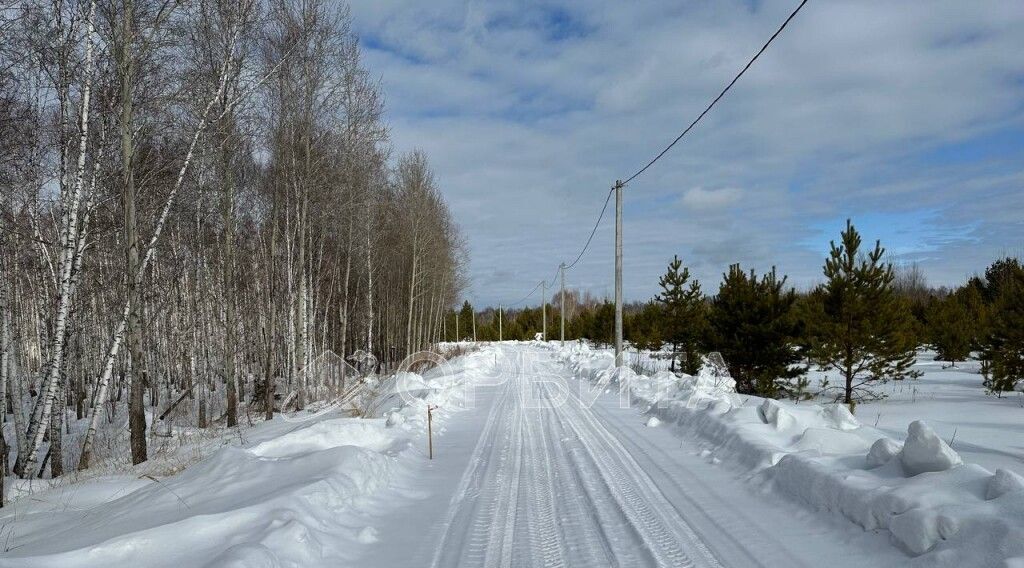 земля р-н Нижнетавдинский с Тюнево фото 1