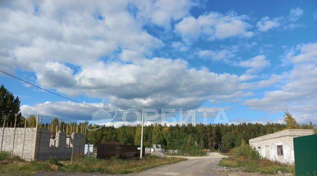 земля р-н Нижнетавдинский с Тюнево ул Придорожная фото 3