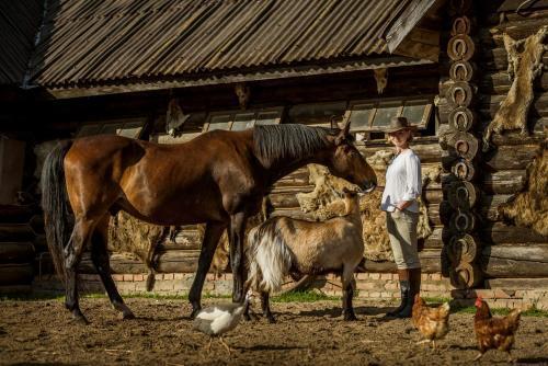 гостиницу г Чехов ул Летняя д. 18 фото 36