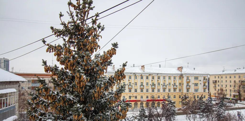 квартира г Ульяновск р-н Ленинский ул Гончарова 4 фото 23