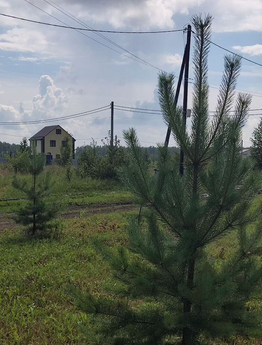 земля р-н Увельский д Ключи с пос, ул. Малиновая, Сосновский район, Краснопольское фото 2