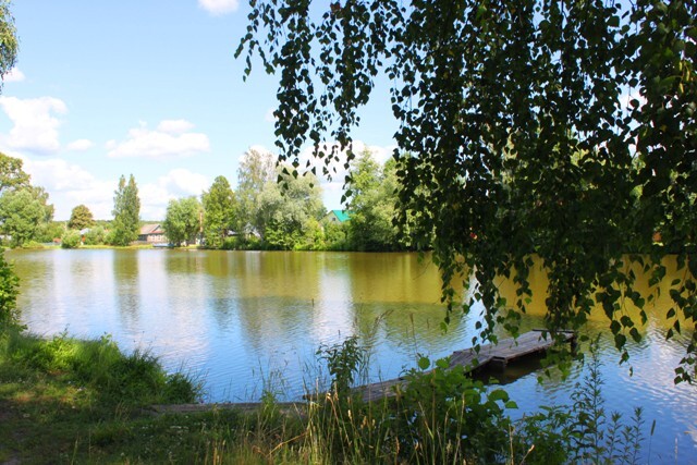 дом городской округ Орехово-Зуевский с Богородское фото 15