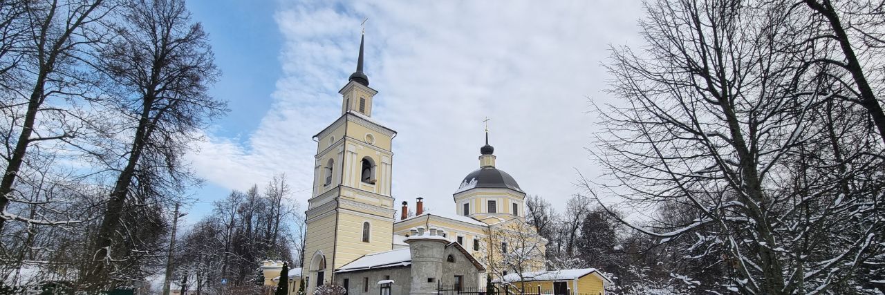 земля городской округ Дмитровский д Федоровка Поселок Подъячево ИЖС фото 9