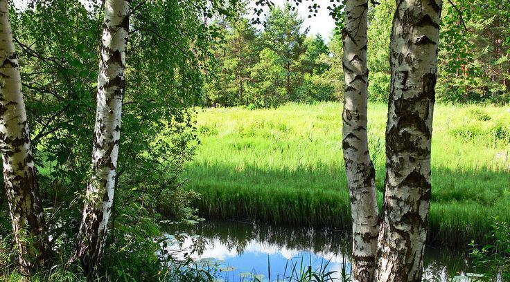 дом городской округ Одинцовский с Немчиновка снт Дружба Немчиновка фото 2