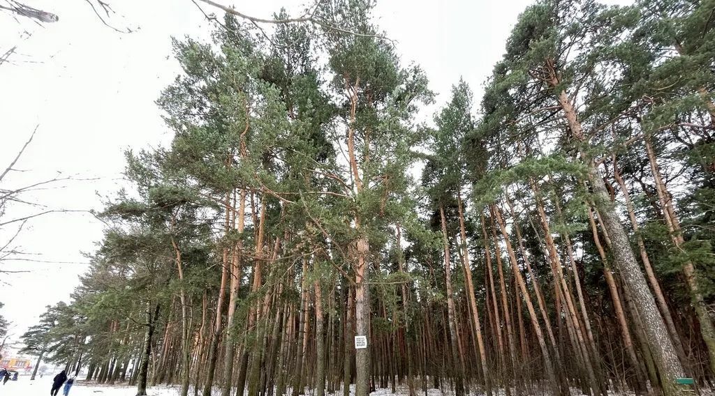 квартира г Тверь р-н Московский ул Склизкова 108к/2 ЖК «Лесная Мелодия 2» фото 7