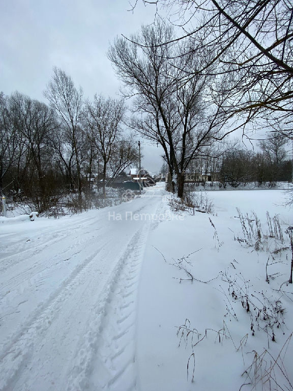 земля городской округ Щёлково с Трубино д., 51А фото 6