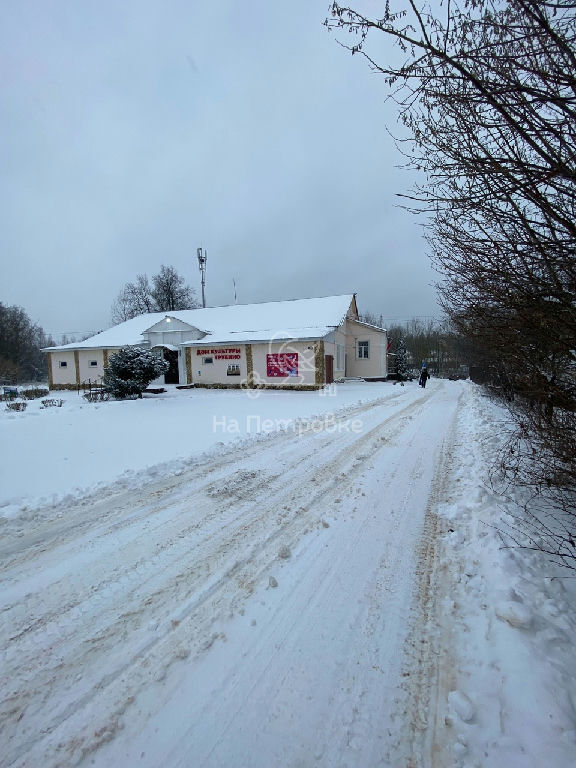 земля городской округ Щёлково с Трубино д., 51А фото 8