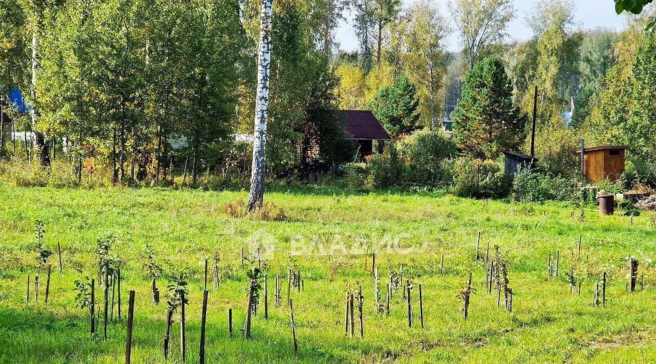 офис р-н Новосибирский снт Вера Барышевский сельсовет фото 16