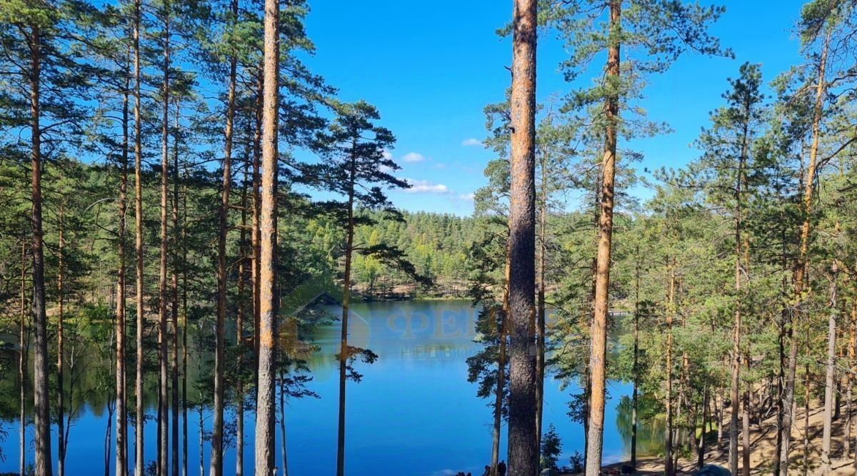 земля р-н Выборгский снт Лебедь Рощинское городское поселение фото 10