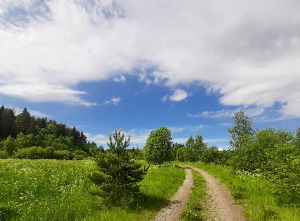 дом р-н Лахденпохский п Куркиеки фото 18