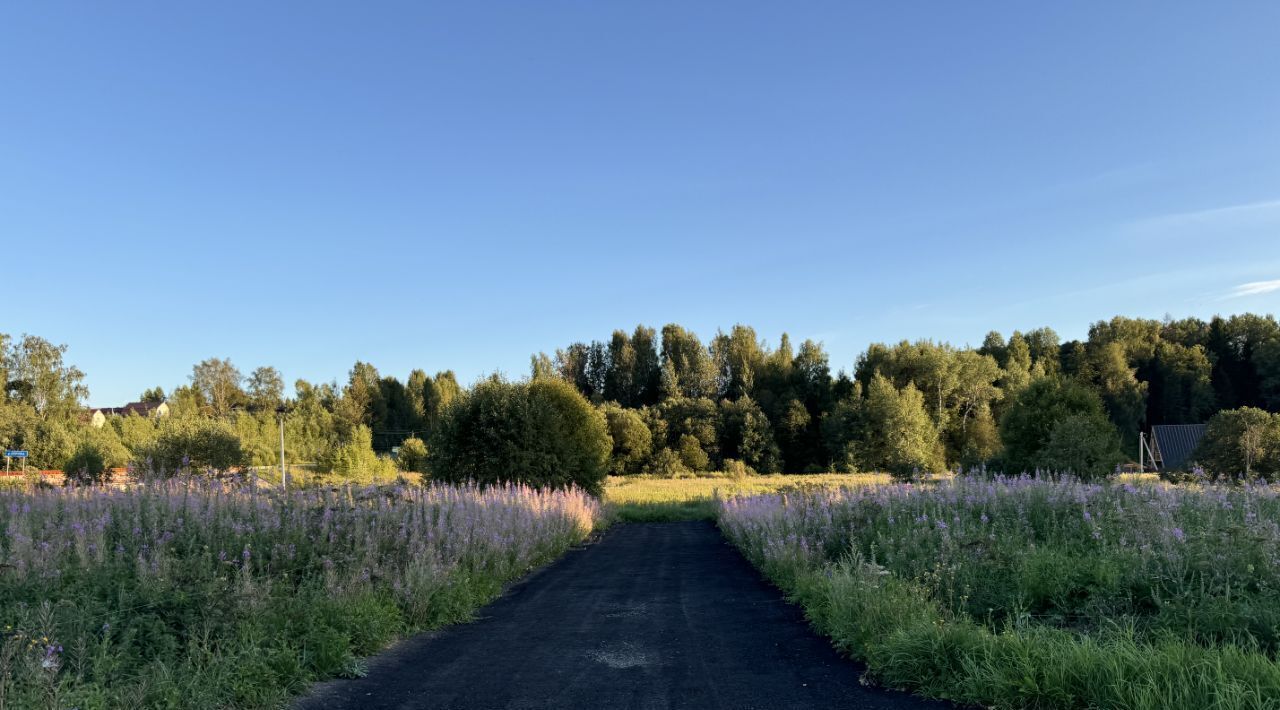 земля городской округ Дмитровский Форест Клаб кп, 17 фото 9