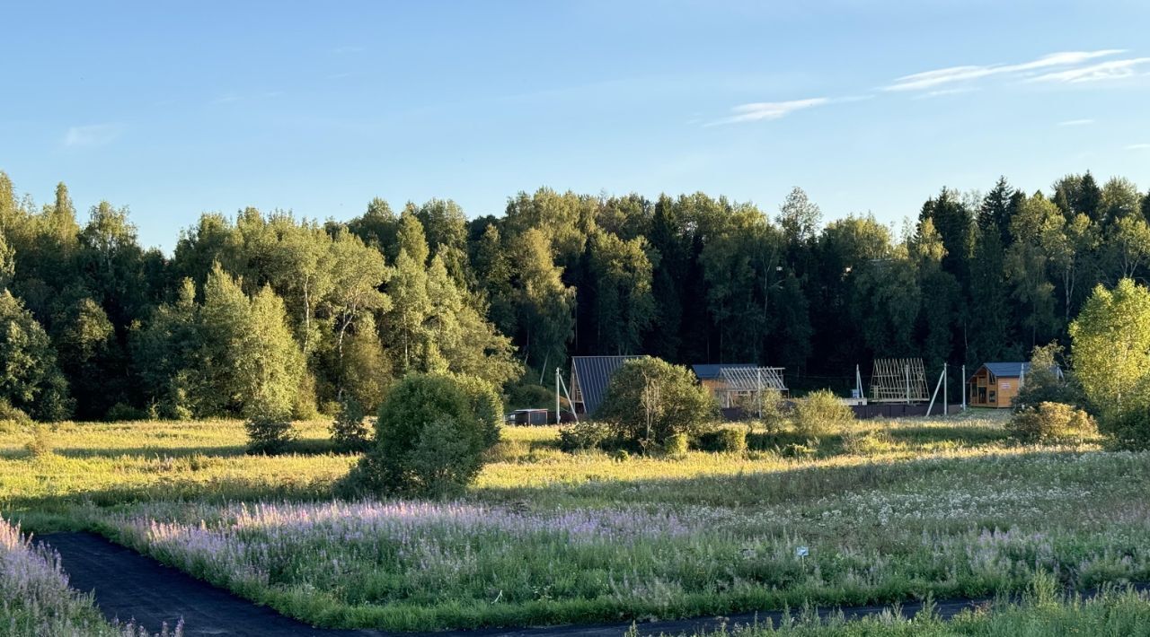 земля городской округ Дмитровский Форест Клаб кп, 17 фото 21